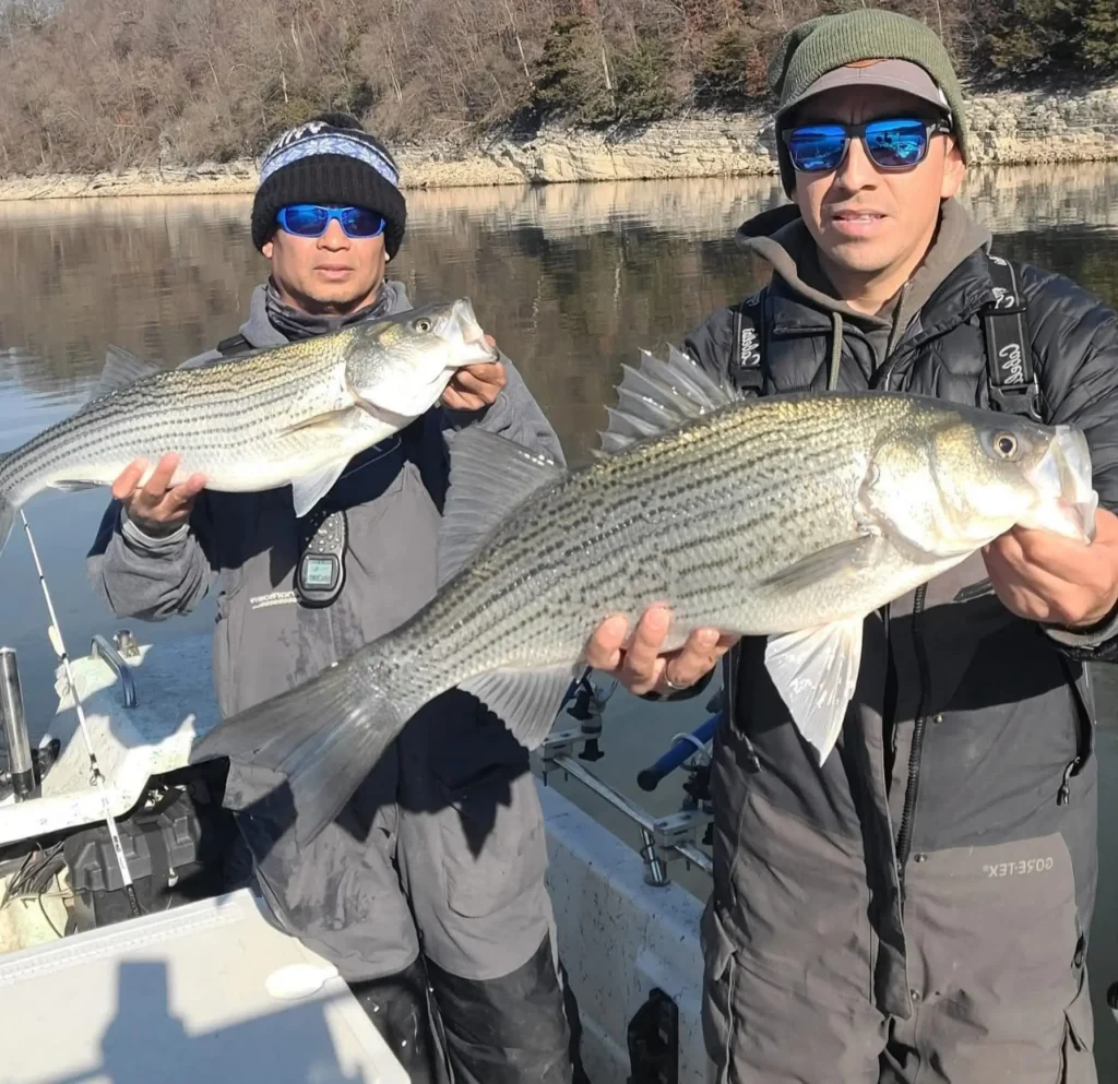 xieng and Juan holding some large striper during a tour