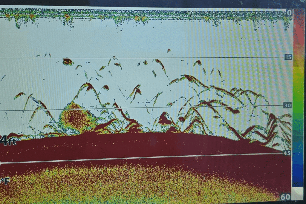 2D Sonar reading from a fish finder