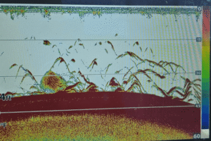 2D Sonar reading from a fish finder