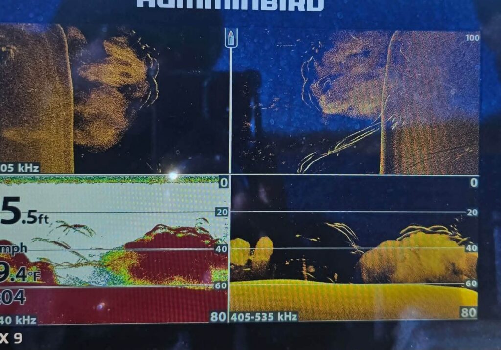picture of a fishfinder graph showing various underwater activity