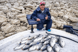 Man sitting at the edge of a fishing boat with his catches after a successful day on Beaver Lake