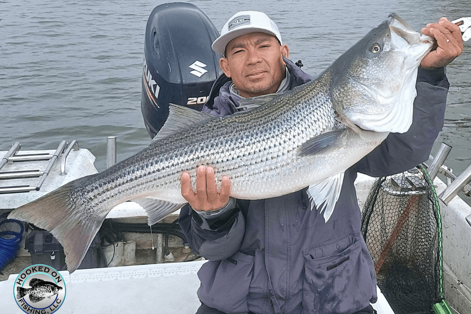 Hooked on Fishing tour guide holding a large striped bass