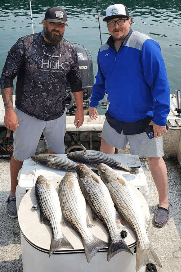 Two men standing in front of their striped bass catches of the day with Hooked on Fishing tour guides